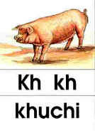 kh - khuchi