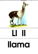 ll - llama