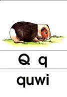 q - quwi