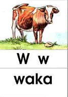 w - waka