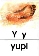 y - yupi